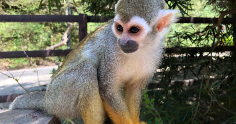 【ブログ】バイオパーク