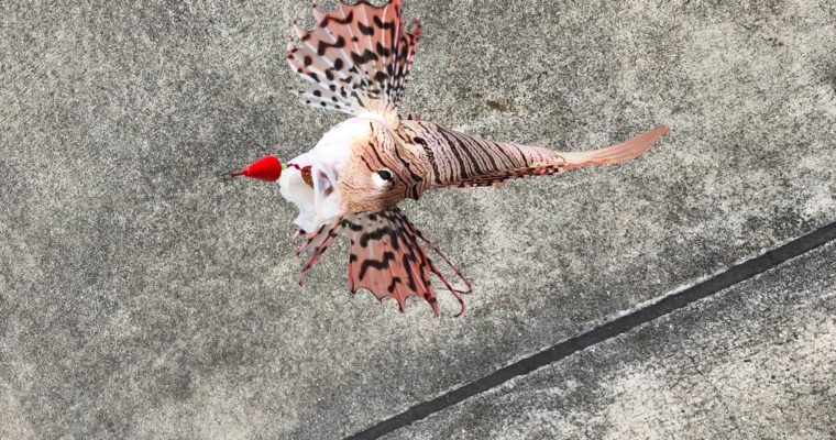 【ブログ】釣り