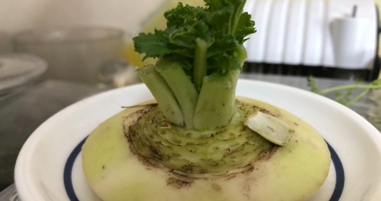 【ブログ】だいこん